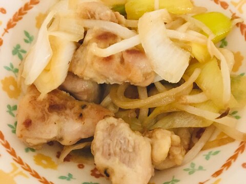 ねぎ鶏モモ肉の甘辛炒め